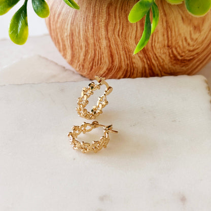 Diletta Small Designed Cuban Hoops-Ariette Jewelry